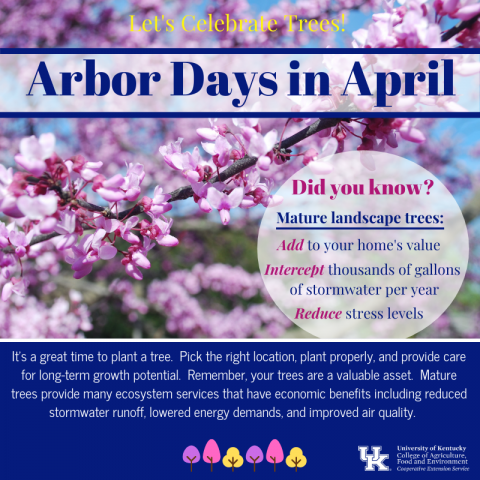 Arbor Days in April