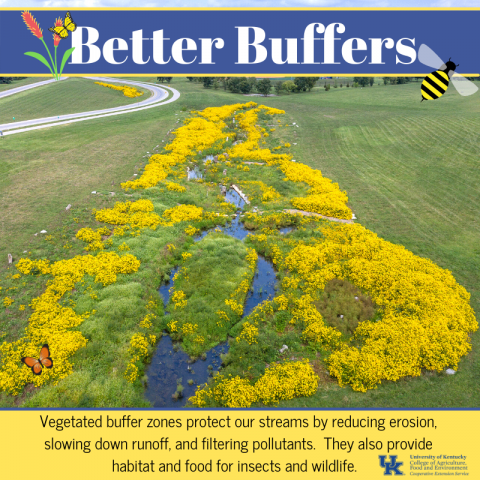 Better Buffers