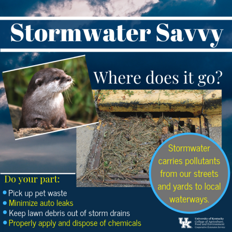Stormwater Savvy