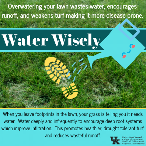 Water Wisely